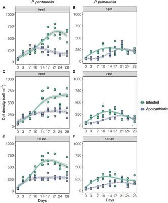 The Obligate Symbiont “Candidatus Megaira polyxenophila” Has Variable Effects on the Growth of Different Host Species